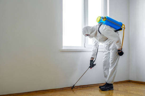 Best Pest Control for Restaurants  in Scobey, MT