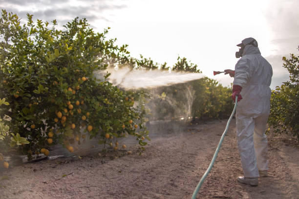 Best Commercial Pest Control Services  in Scobey, MT