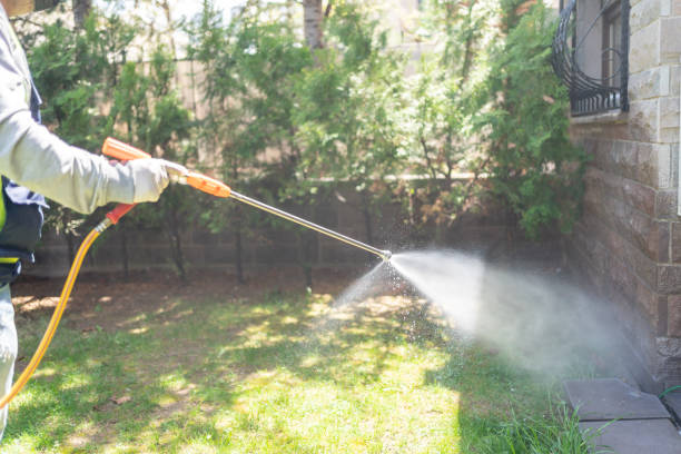 Best Best Pest Control Companies  in Scobey, MT
