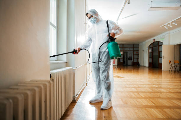 Flea Control Services in Scobey, MT