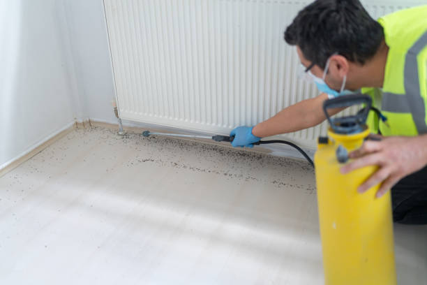 Best Termite Control Services  in Scobey, MT