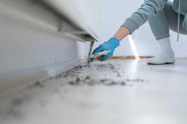 Professional Pest Control in Scobey, MT